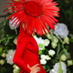 Image for article titled Dior Couture: Fabulous, Vintage-Inspired Top & Bottomlessness